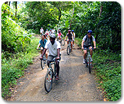 Rainforest Bike Adventure 