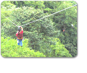 Rain Forest Canopy Adventure