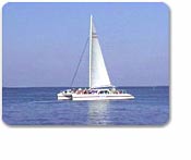 Catamaran Day Cruise to Soufriere