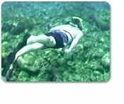 Snorkeling Delight