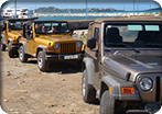 4x4 Jeep Wrangler Safari & Beach Escape