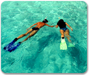 Kayak and Snorkel Adventure