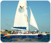 Golden Eagle Island Sailaway