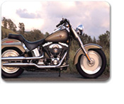 Harley in Paradise