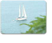 Captain Morgan's Sailing Adventure