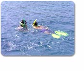 Pinel Island Snorkel Tour