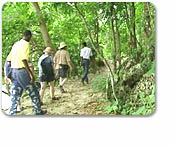 Hidden Forest Adventure Tour With Lunch