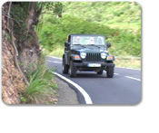St. Maarten 4 x 4 Safari