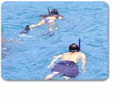 Captain Nautica's Power Raft Snorkeling Tour