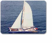 Catamaran Sailing & Snorkeling Tour