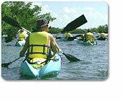 Kayak and Snorkel Adventure