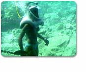 Deep Blue Sea Helmet Dive