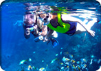Norman Island Snorkeling