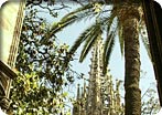 Biking in Barcelona