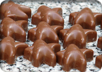 Bruges & Belgian Chocolates
