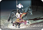 Jerez & Horse Show