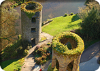 The Best of Ireland