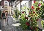 City Sightseeing with Dragør Village
