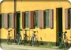 Copenhagen By Bicycle