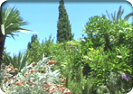 Best of the Adriatic