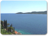 Lokrum Island Hiking & Swimming