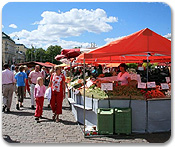 Open Air Market
