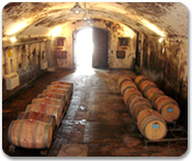 Wine Tasting in Tuscany
