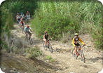 Mountain Biking in Palma