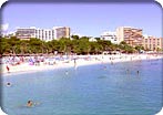 Palma Made Easy