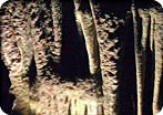 Calderers & Drach Caves