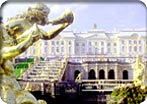 Car - Peterhof/Shopping