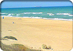 body_thumbnail