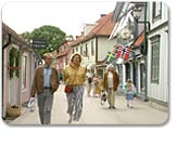 Historic Stockholm & Sigtuna