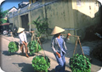 Hoi An Merchant Town