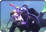 Bonaire Marine Park Scuba (2-tank Boat Dive)