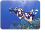 Discover Scuba Diving