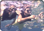 Champagne Reef Snorkel Excursion