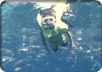 Half Day Snorkeling