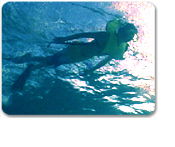 Deluxe Catamaran Sailing & Snorkeling