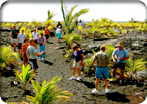 Kilauea Two Ways