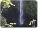 Discover Hilo - Waves & Waterfalls