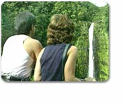 Best of Hilo
