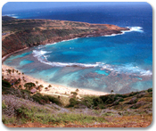 Natural Highlights of Oahu