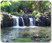 Honolulu's Hidden Paradise