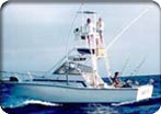 Deep Sea Fishing