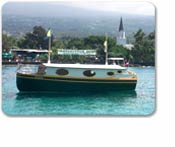 Glassbottom Boat Reef Cruise