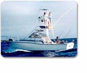 Deep Sea Fishing