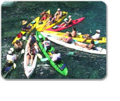 Kona Kayak & Snorkel Adventure