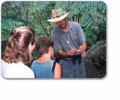 Kona Cloud Forest Botanical Walk