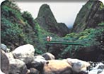 Iao Valley & Maui Tropical Plantation